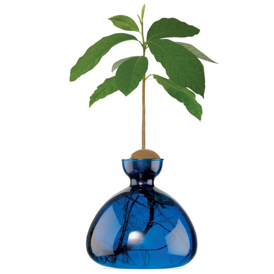 Avocado Vase