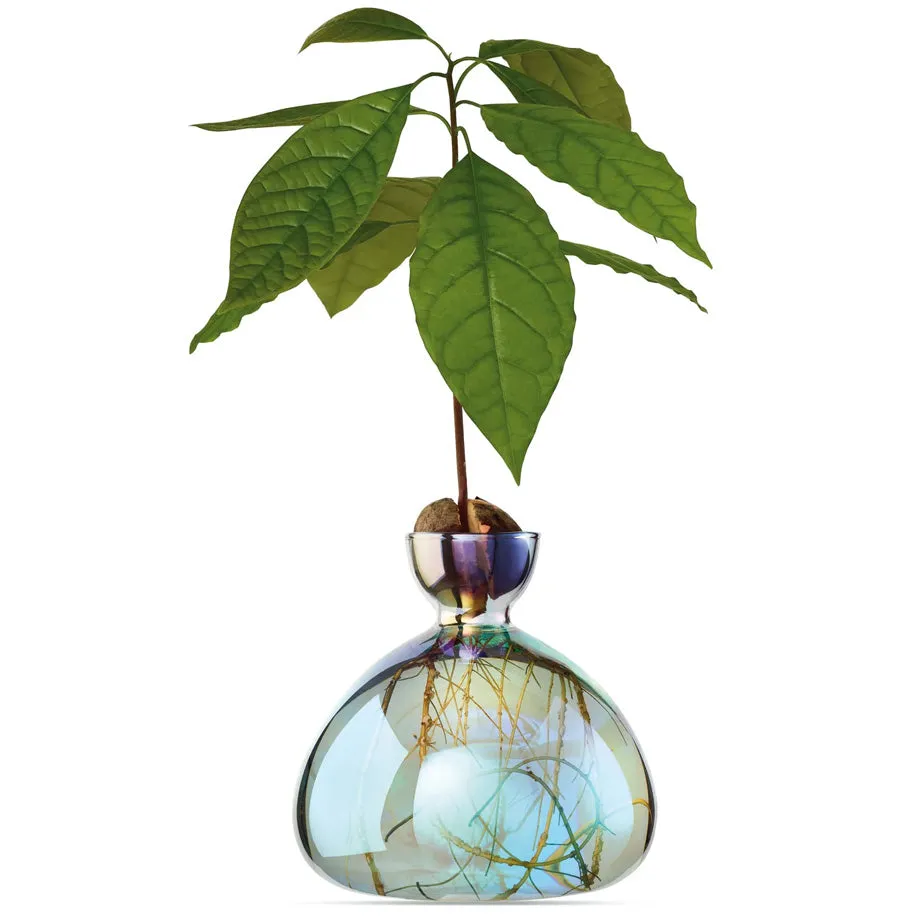 Avocado Vase