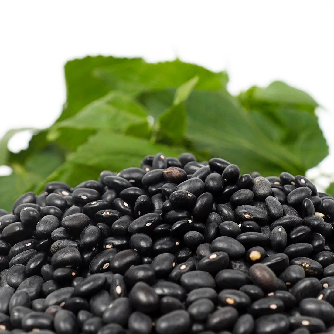 Black Beans