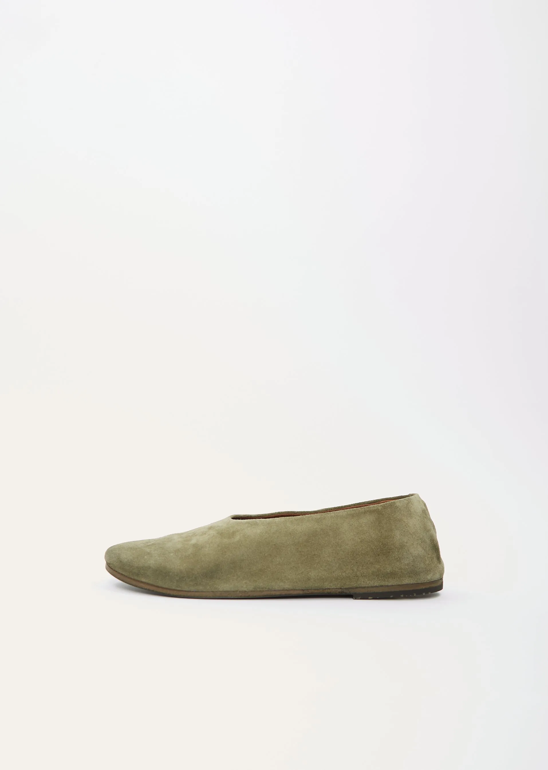 Coltellaccio Ballerina — Plant