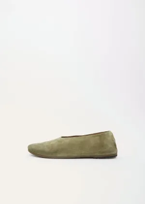 Coltellaccio Ballerina — Plant