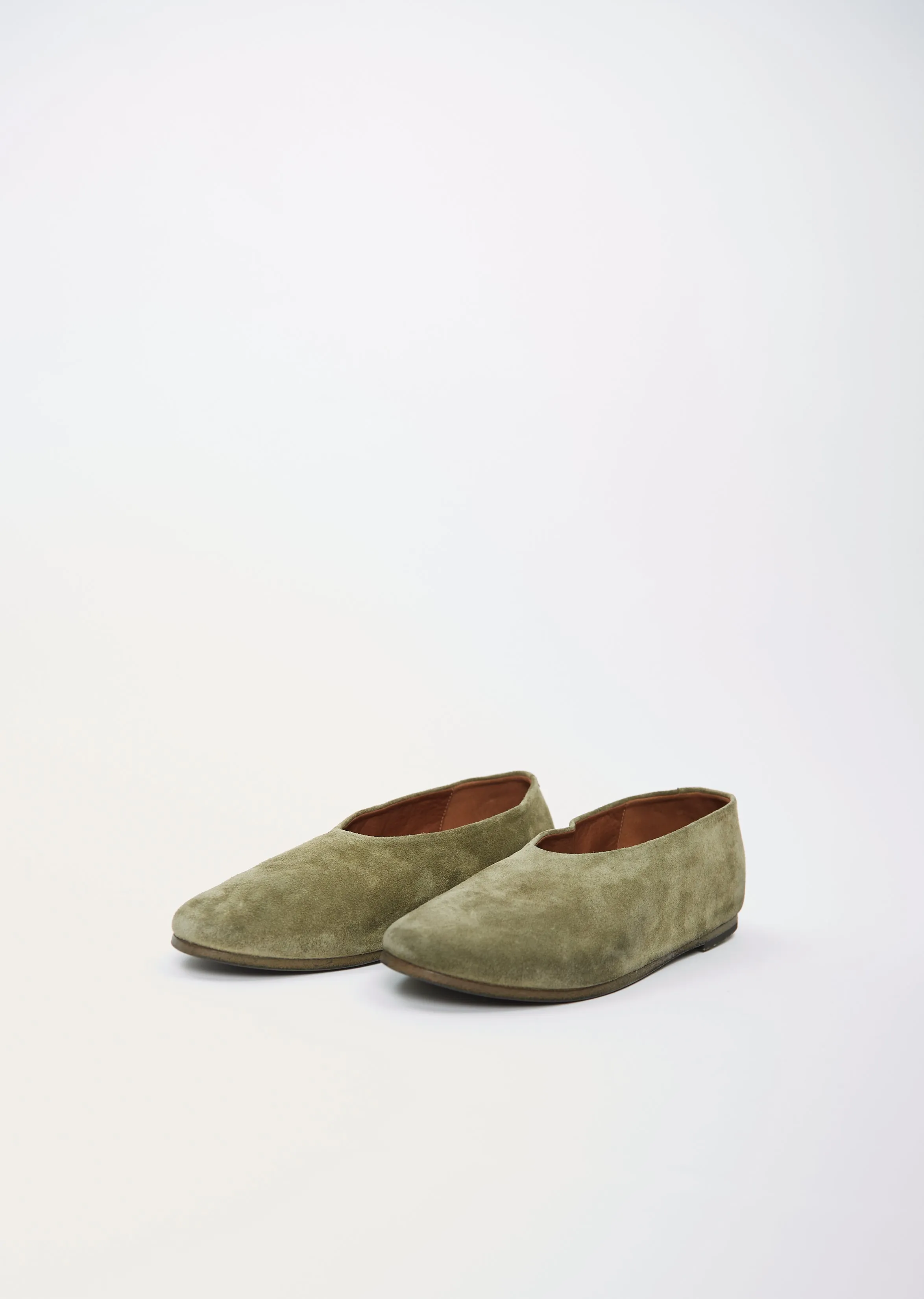 Coltellaccio Ballerina — Plant
