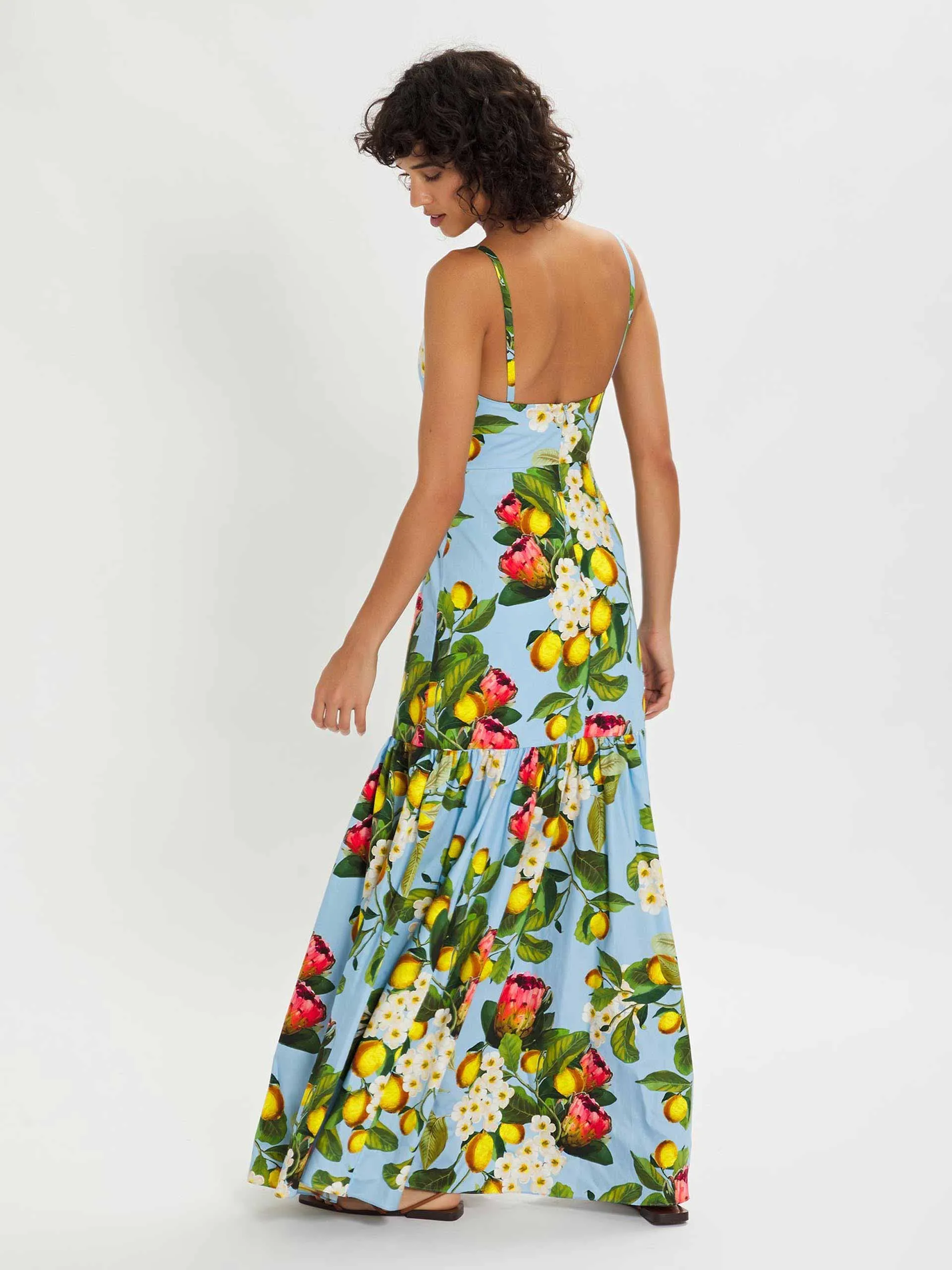 Cordelia blue multi floral maxi dress