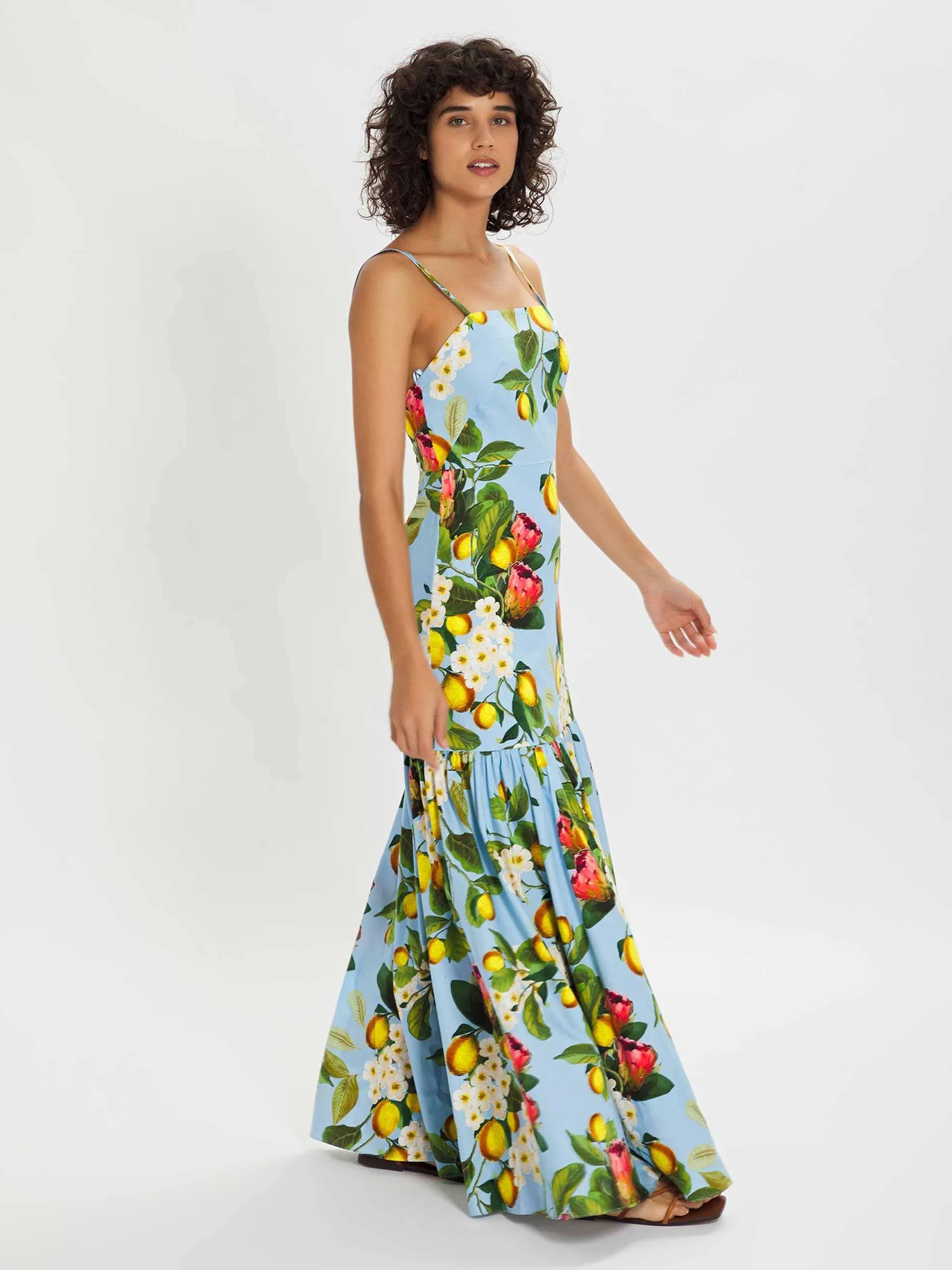 Cordelia blue multi floral maxi dress