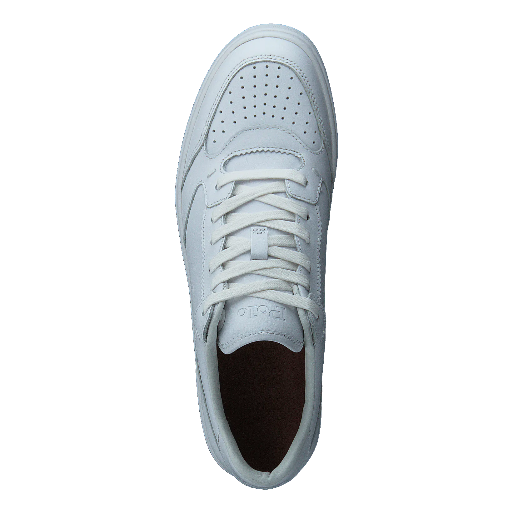 Court Sneaker White