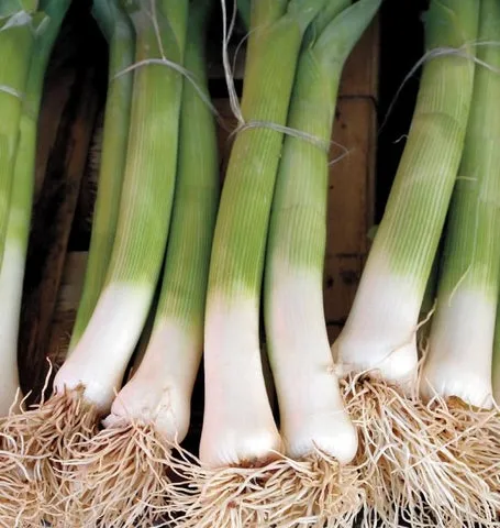 Leeks — Varna Organic