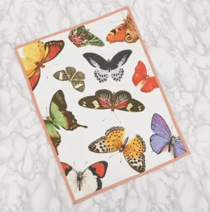 Metamorphosis Butterfly Tea Towel