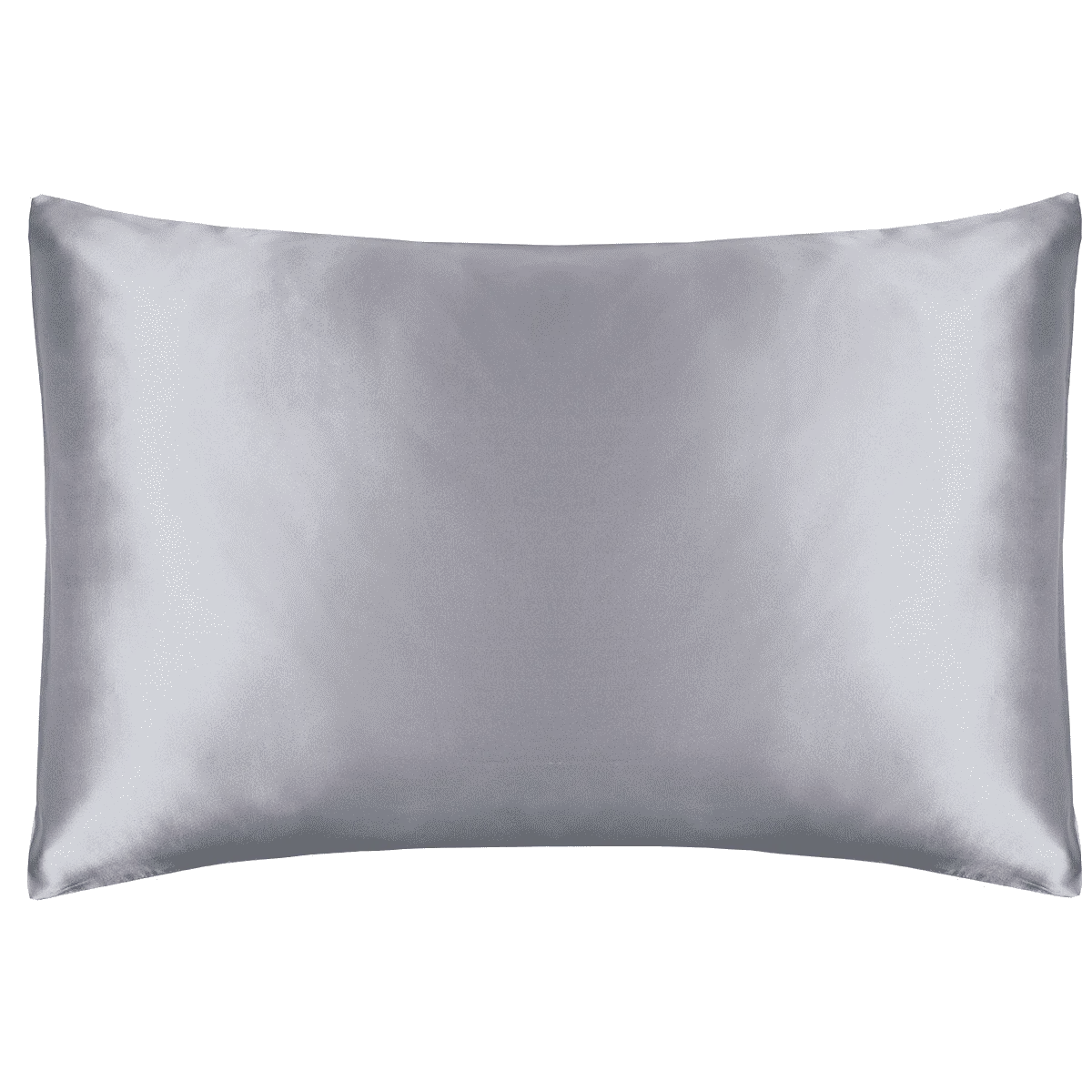 Mulberry Silk Housewife Pillowcase - Platinum