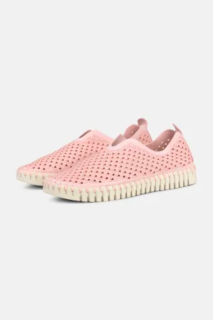 Tulip Schuhe - Adobe Rose