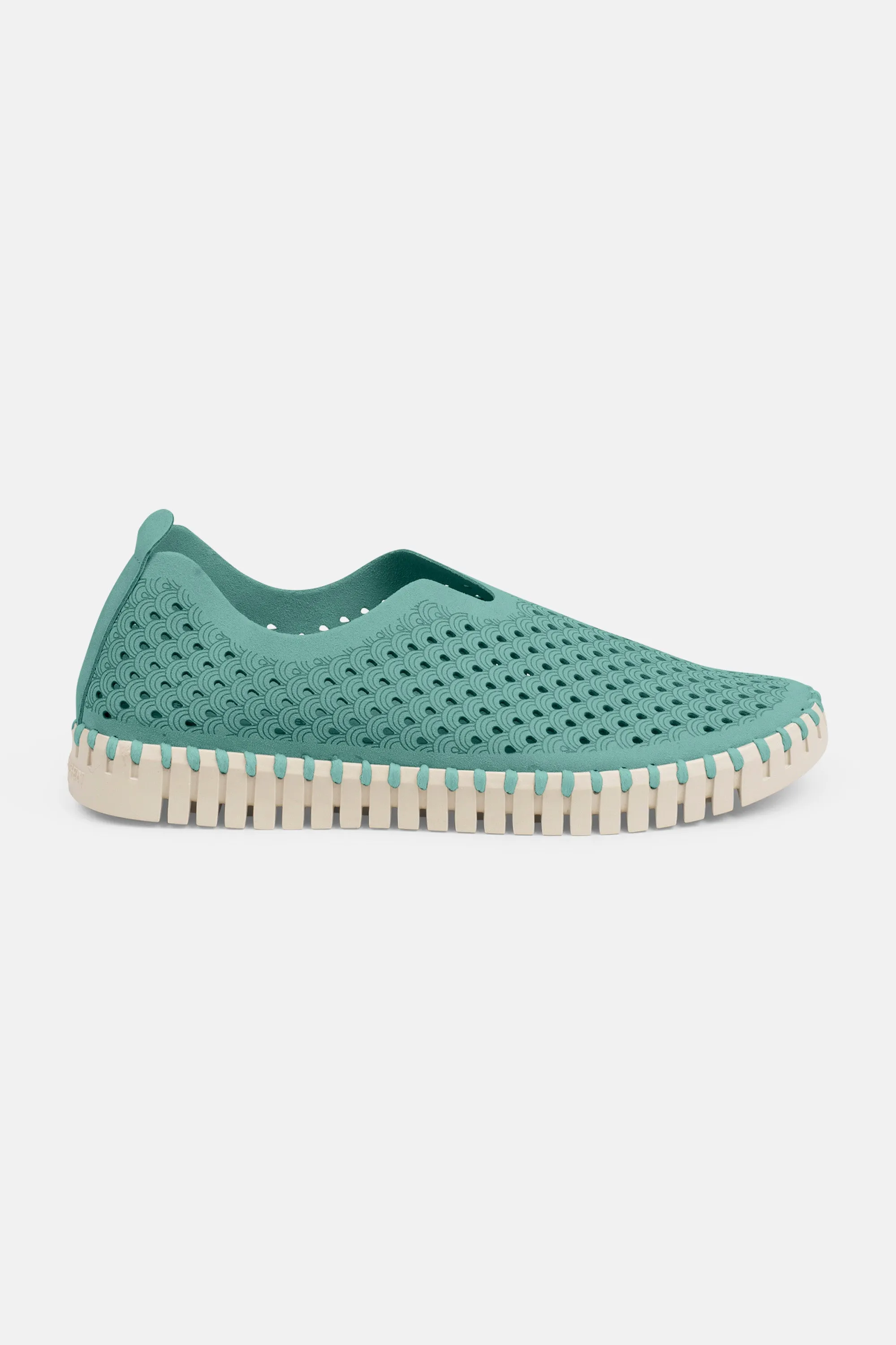 Tulip Schuhe - Aqua Sky