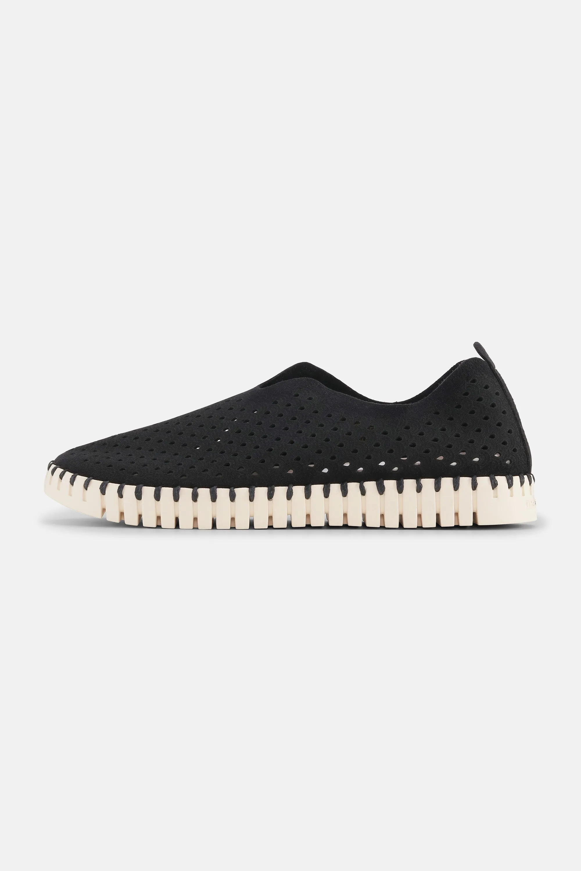 Tulip Schuhe - Black