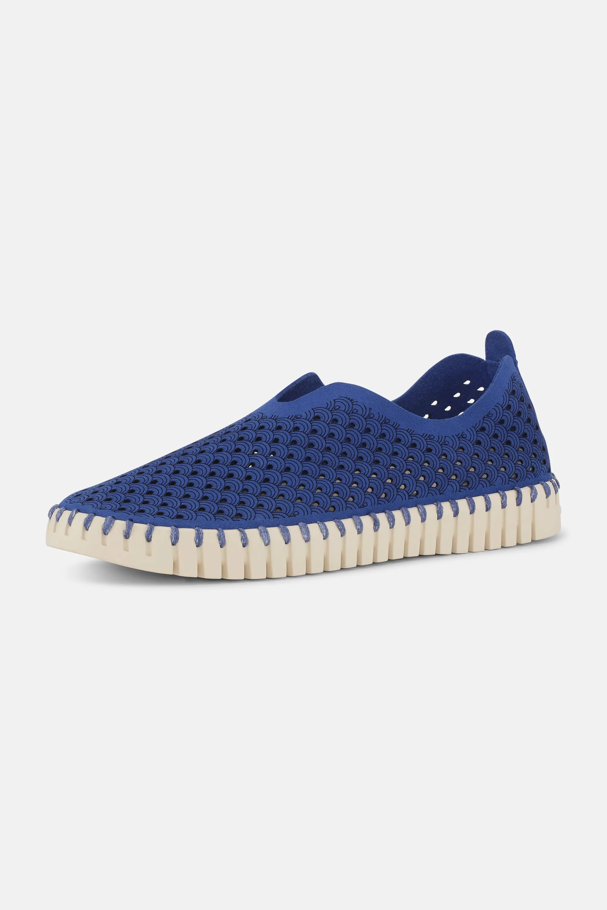 Tulip Schuhe - Blue Web