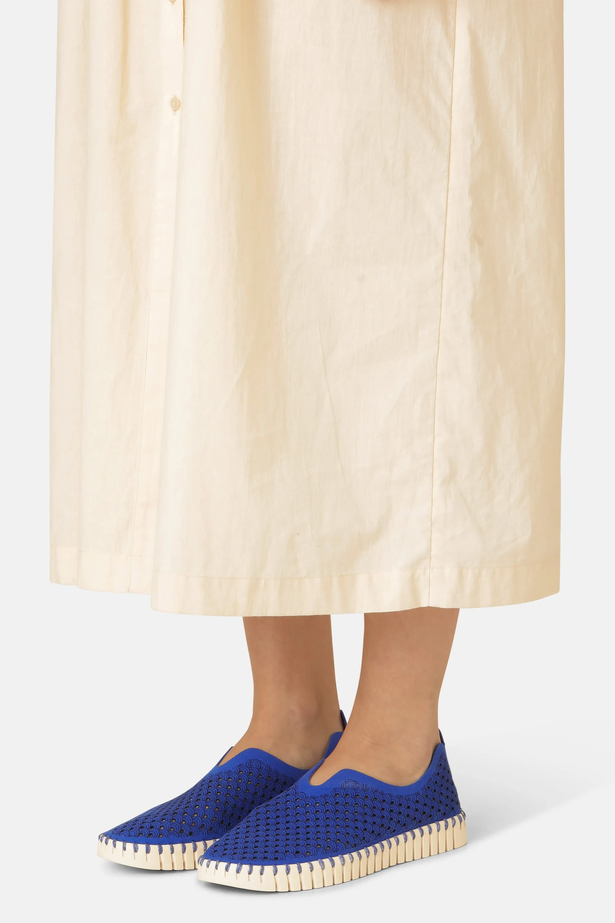 Tulip Schuhe - Blue Web