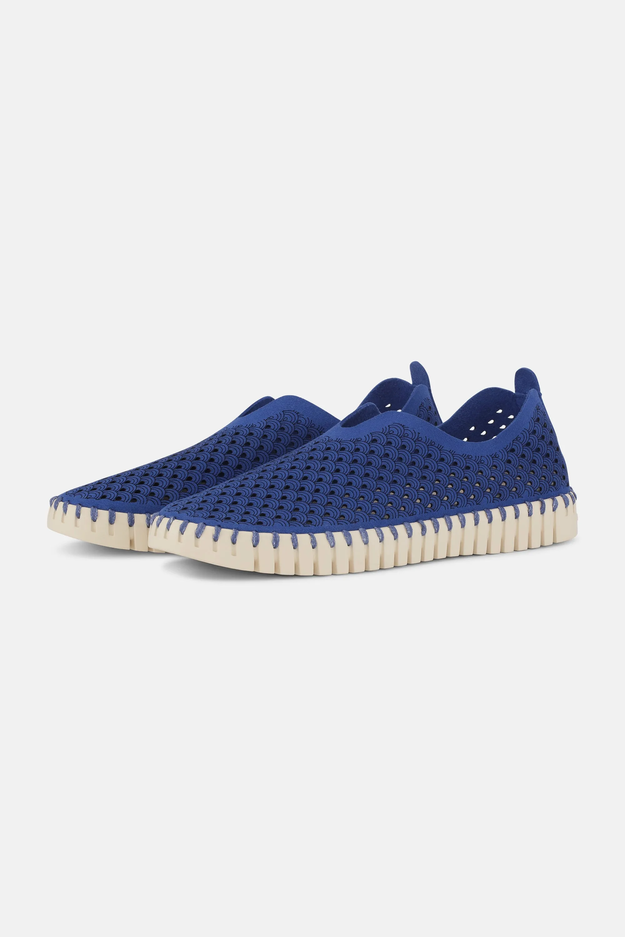 Tulip Schuhe - Blue Web