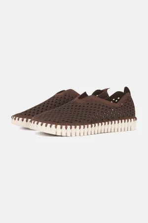 Tulip Schuhe - Brown