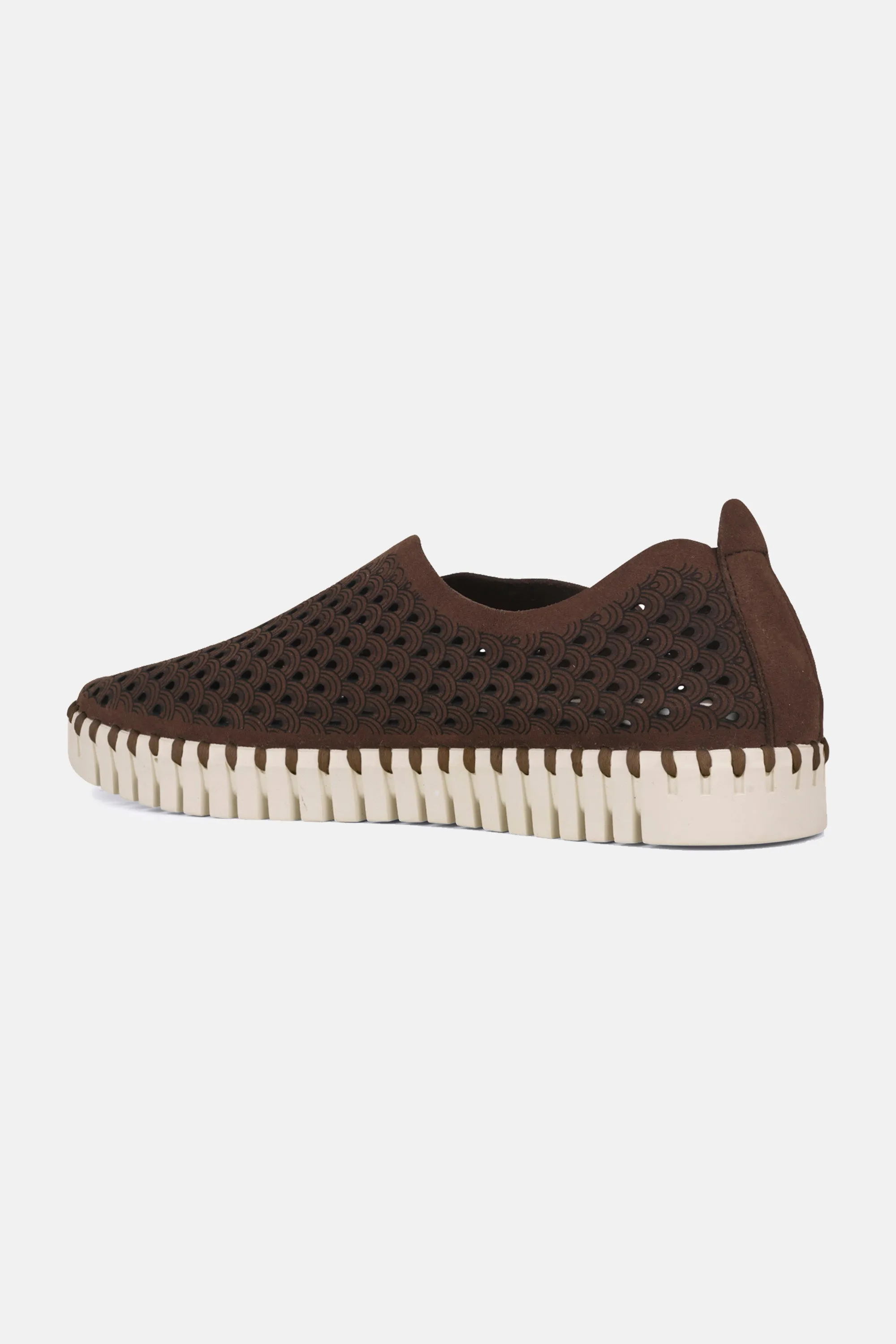 Tulip Schuhe - Brown