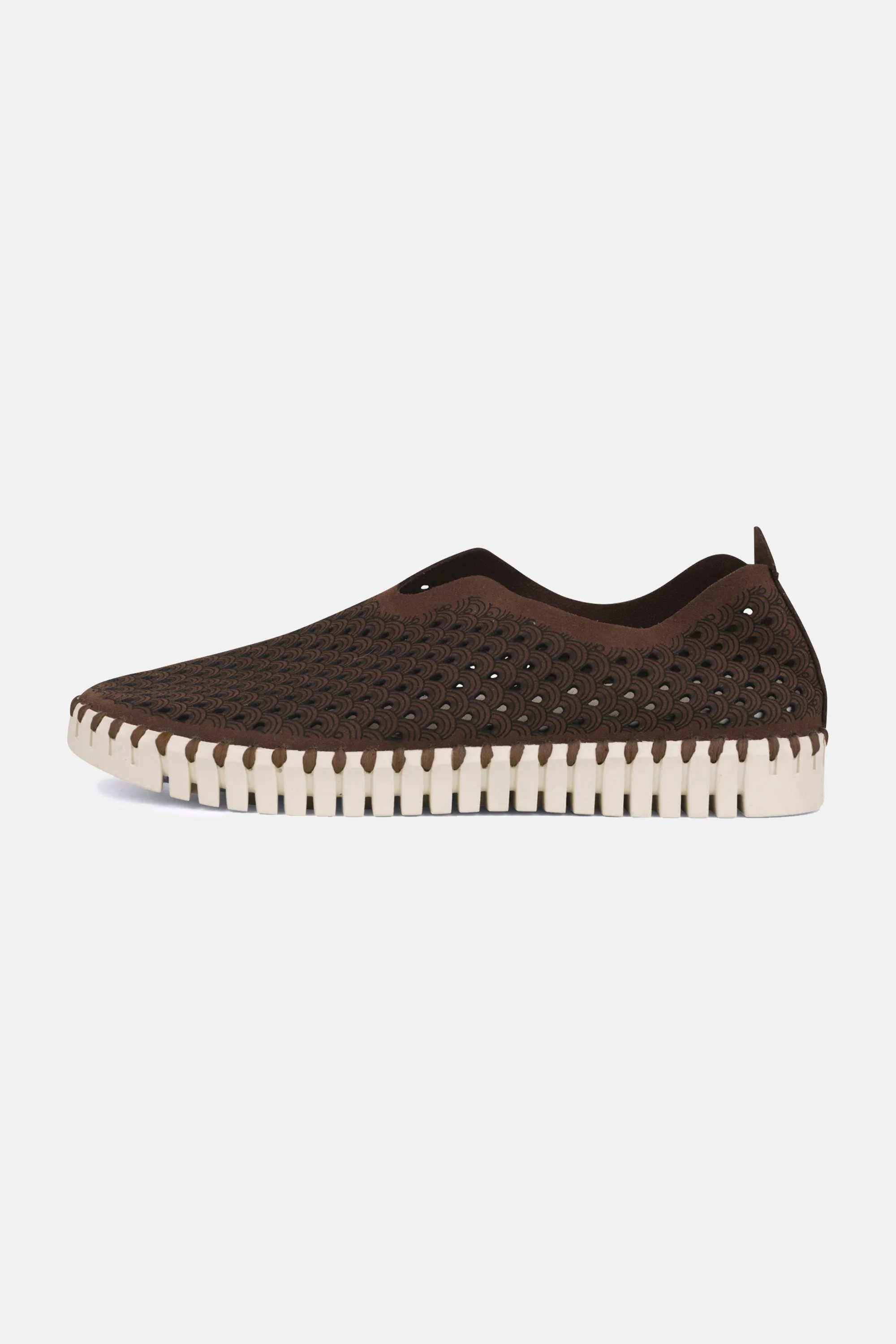 Tulip Schuhe - Brown