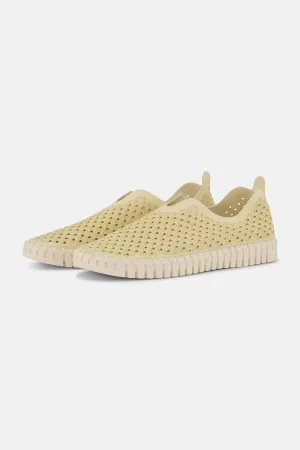 Tulip Schuhe - Double Cream