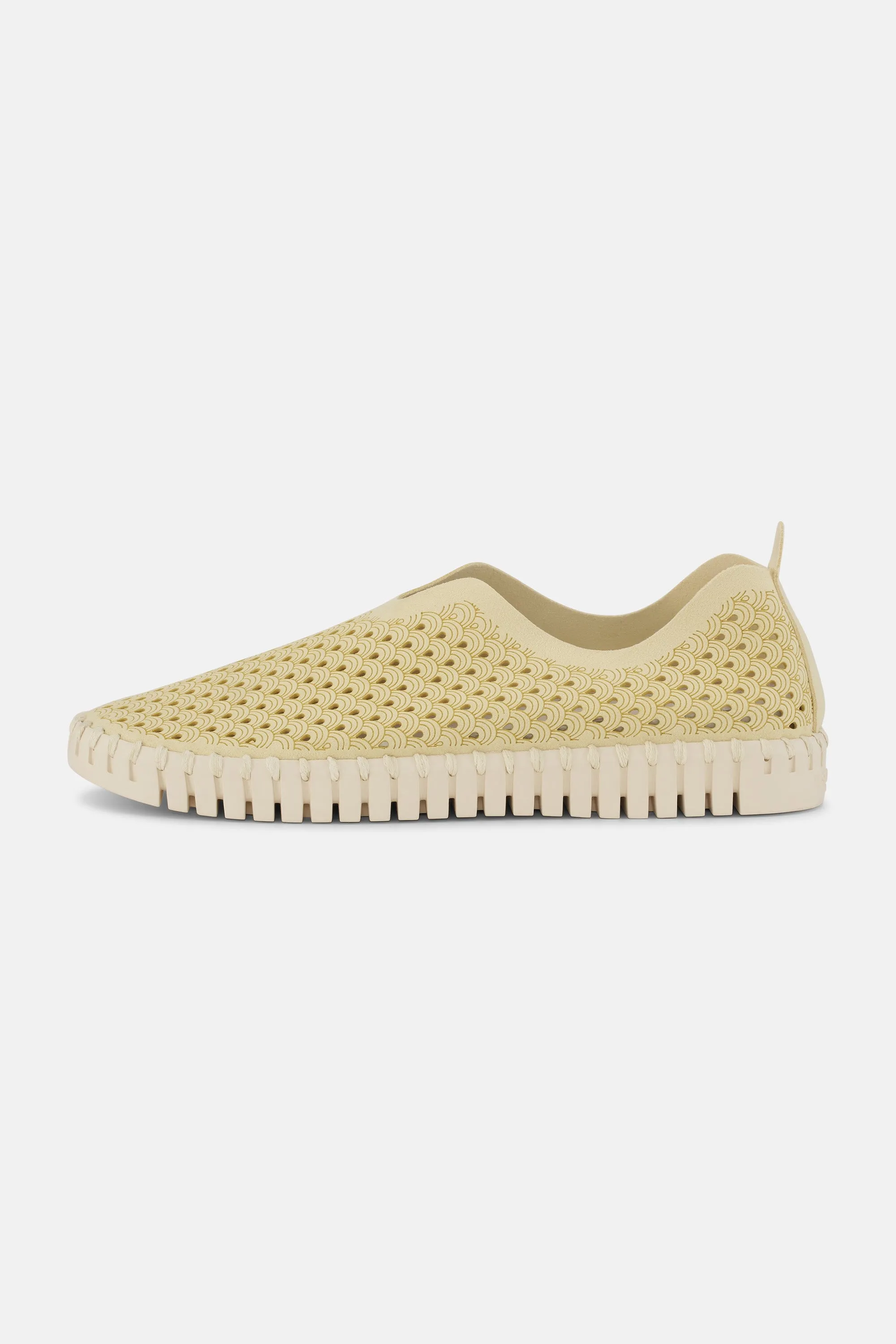 Tulip Schuhe - Double Cream