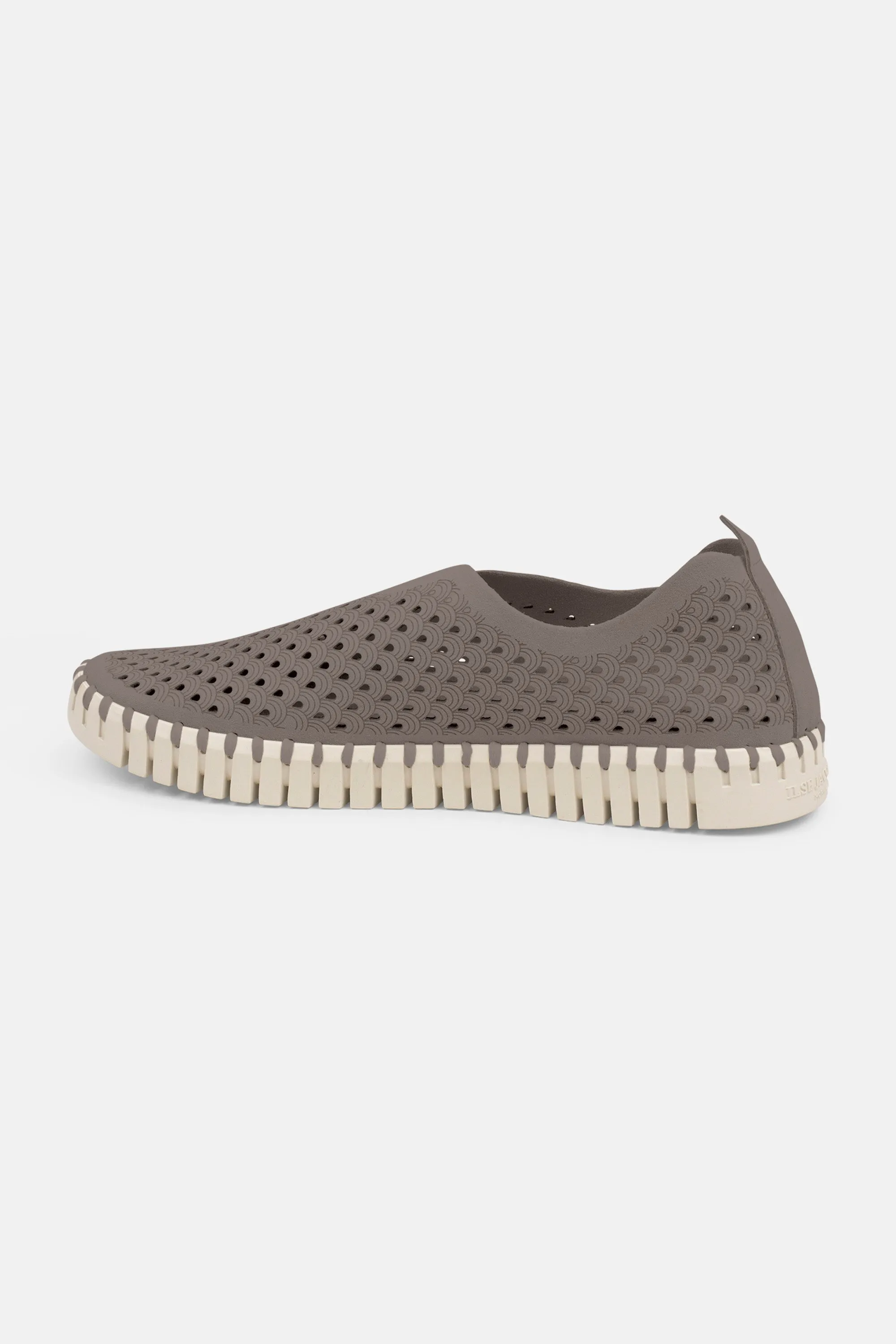 Tulip Schuhe - Falcon