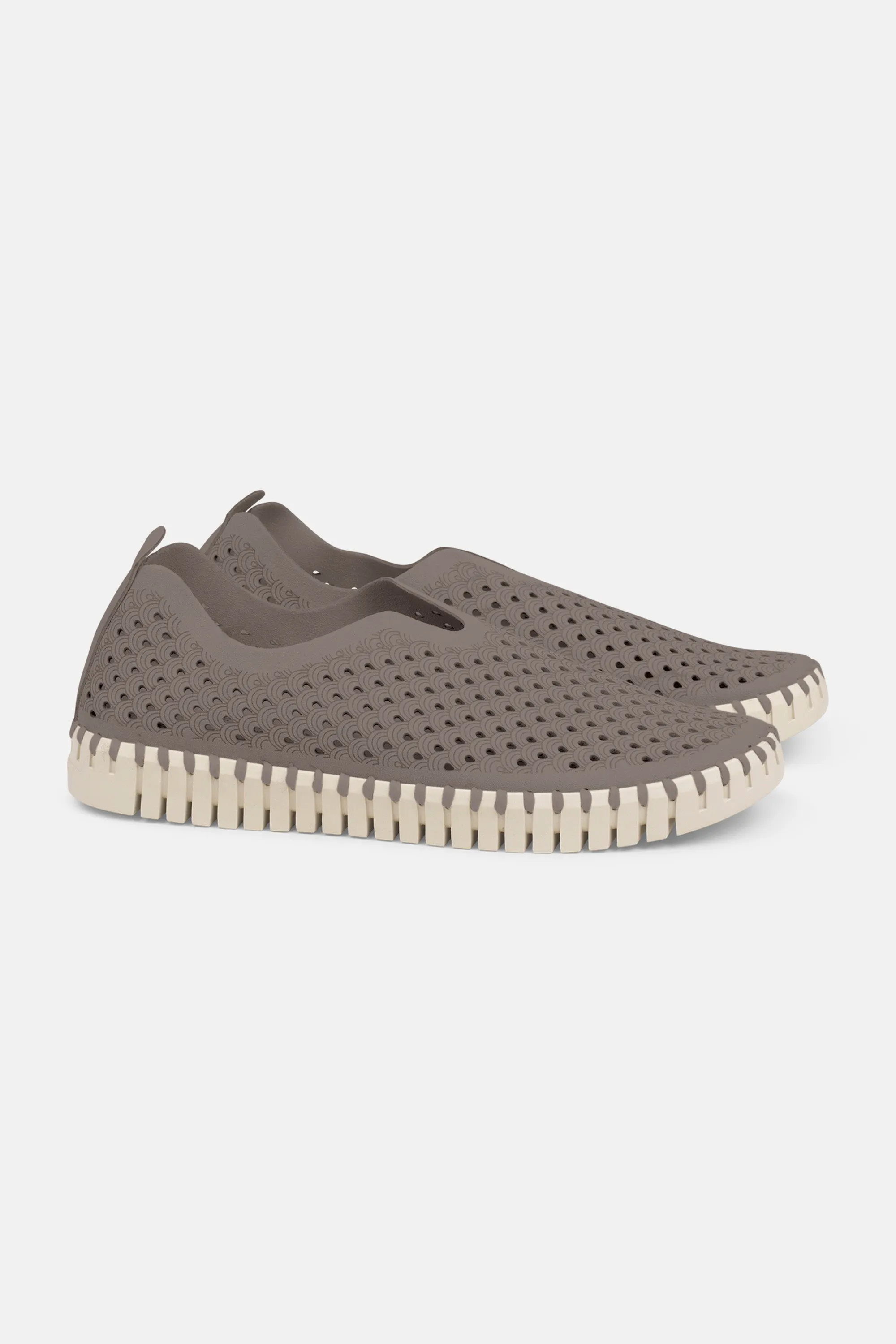 Tulip Schuhe - Falcon