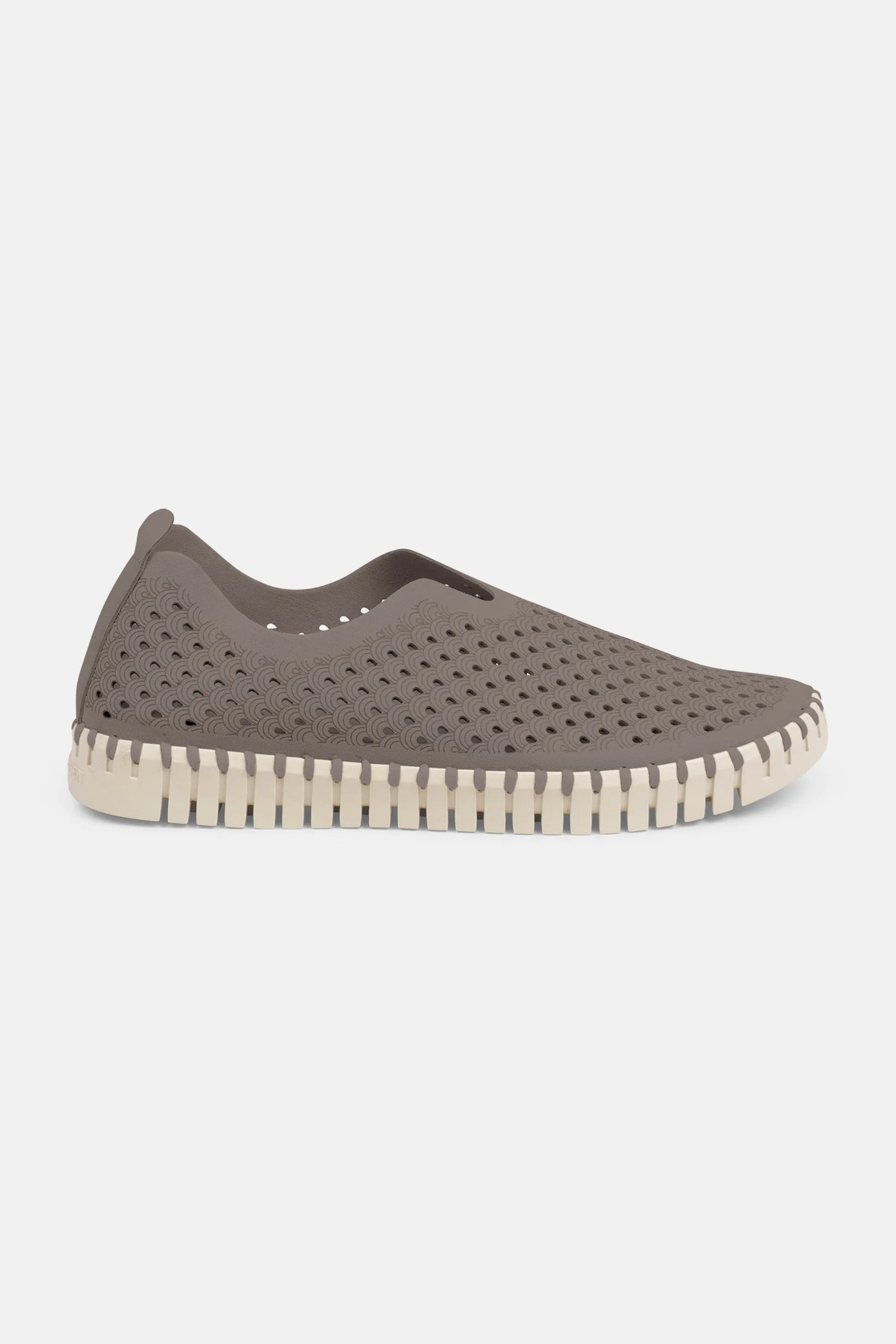 Tulip Schuhe - Falcon