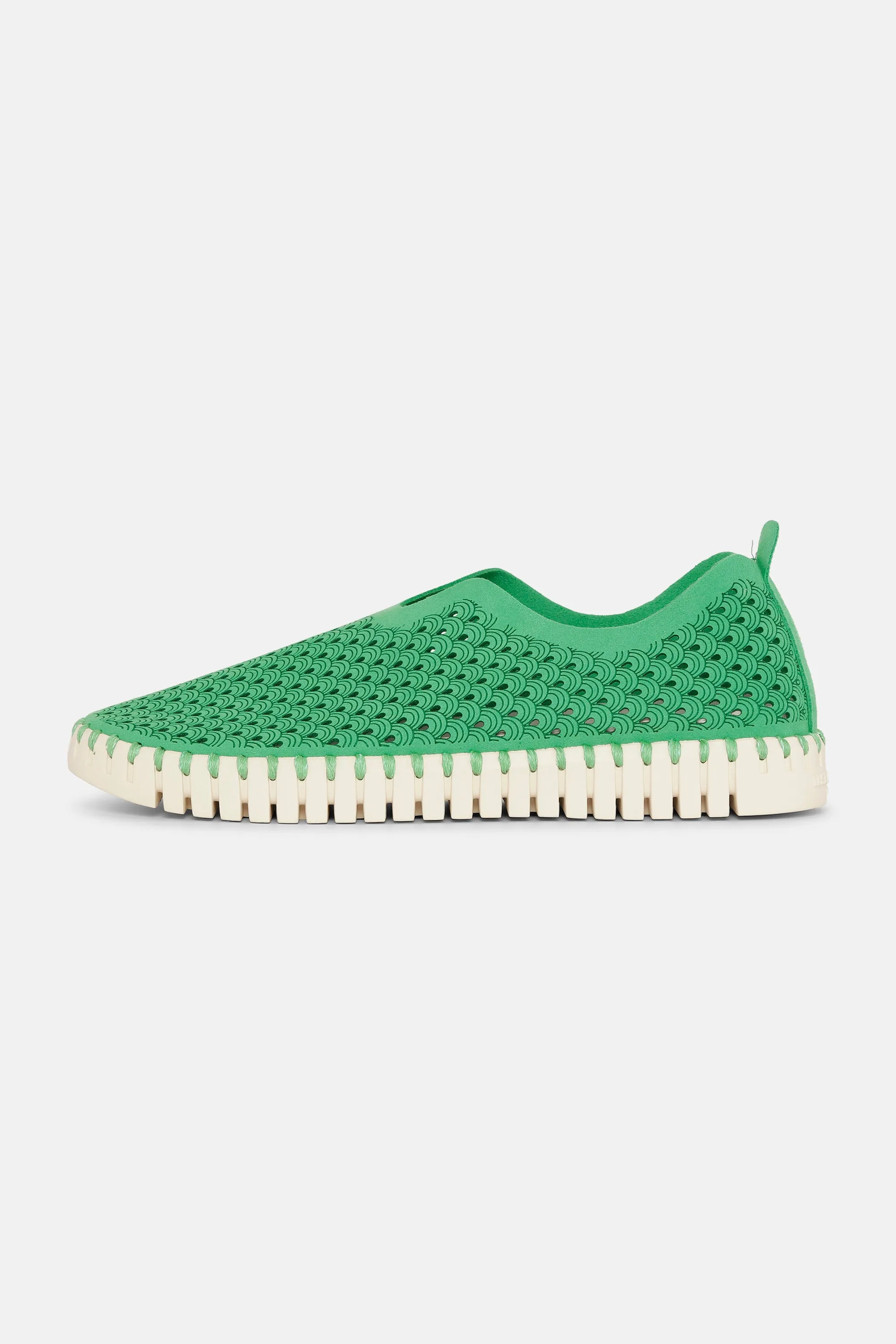 Tulip Schuhe - Fern Green