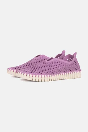 Tulip Schuhe - Frosting