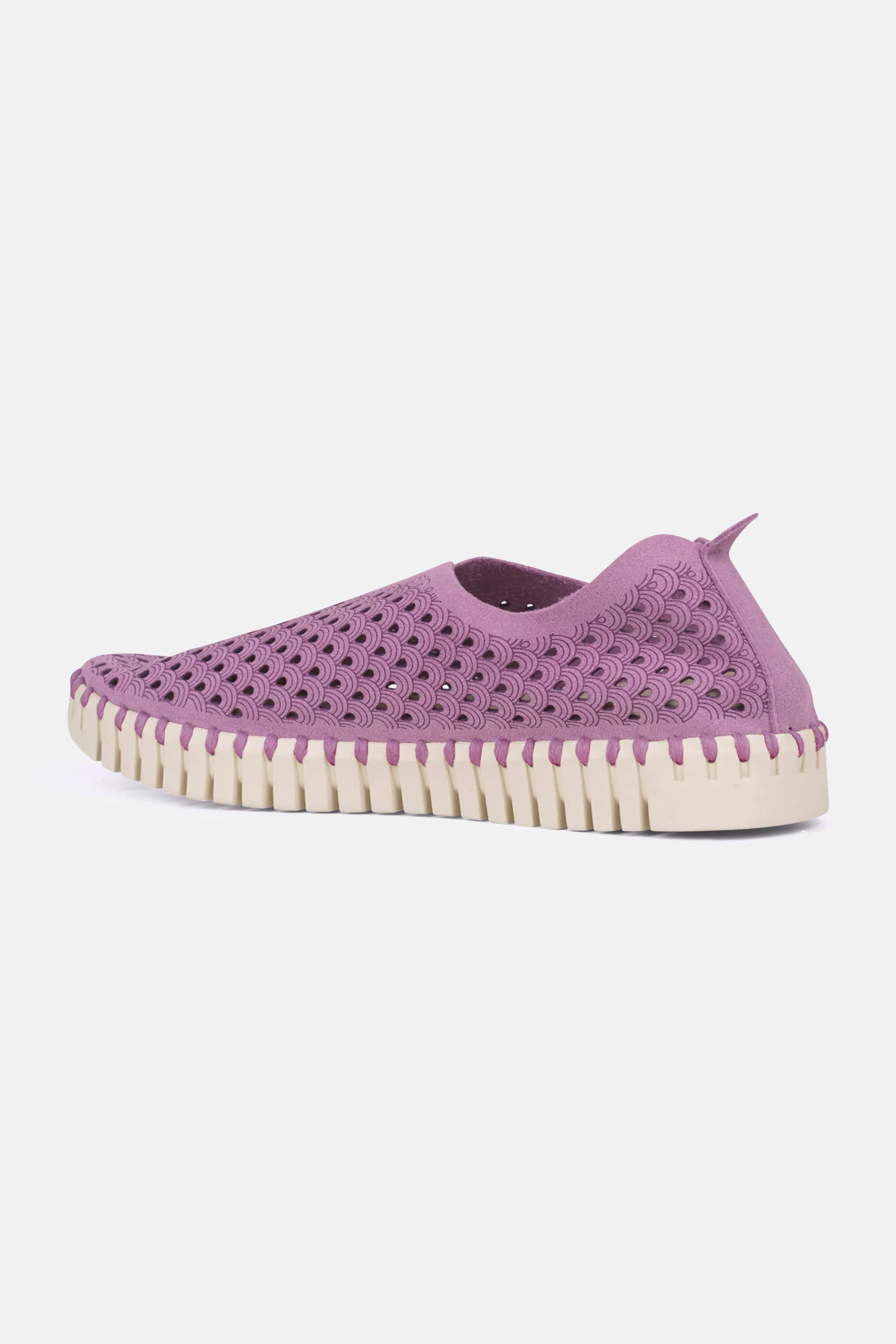 Tulip Schuhe - Frosting