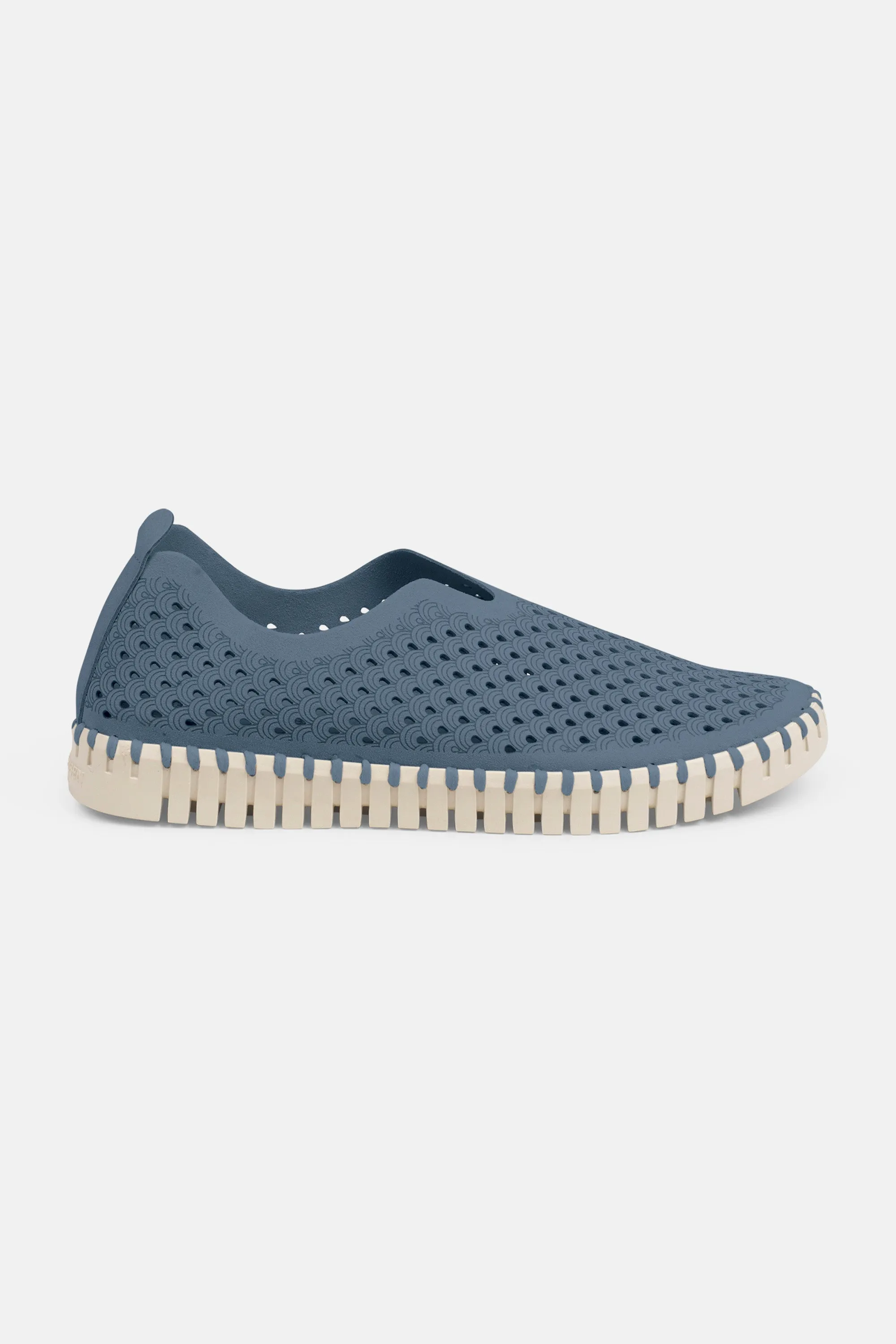 Tulip Schuhe - Grey Blue