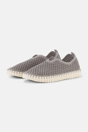 Tulip Schuhe - Grey