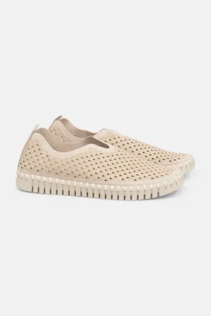 Tulip Schuhe - Kit