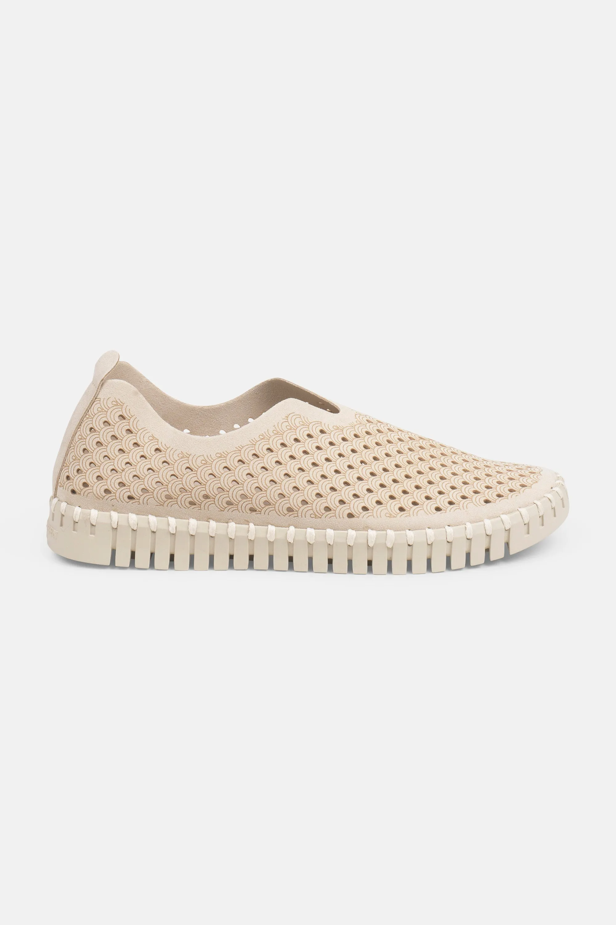 Tulip Schuhe - Kit