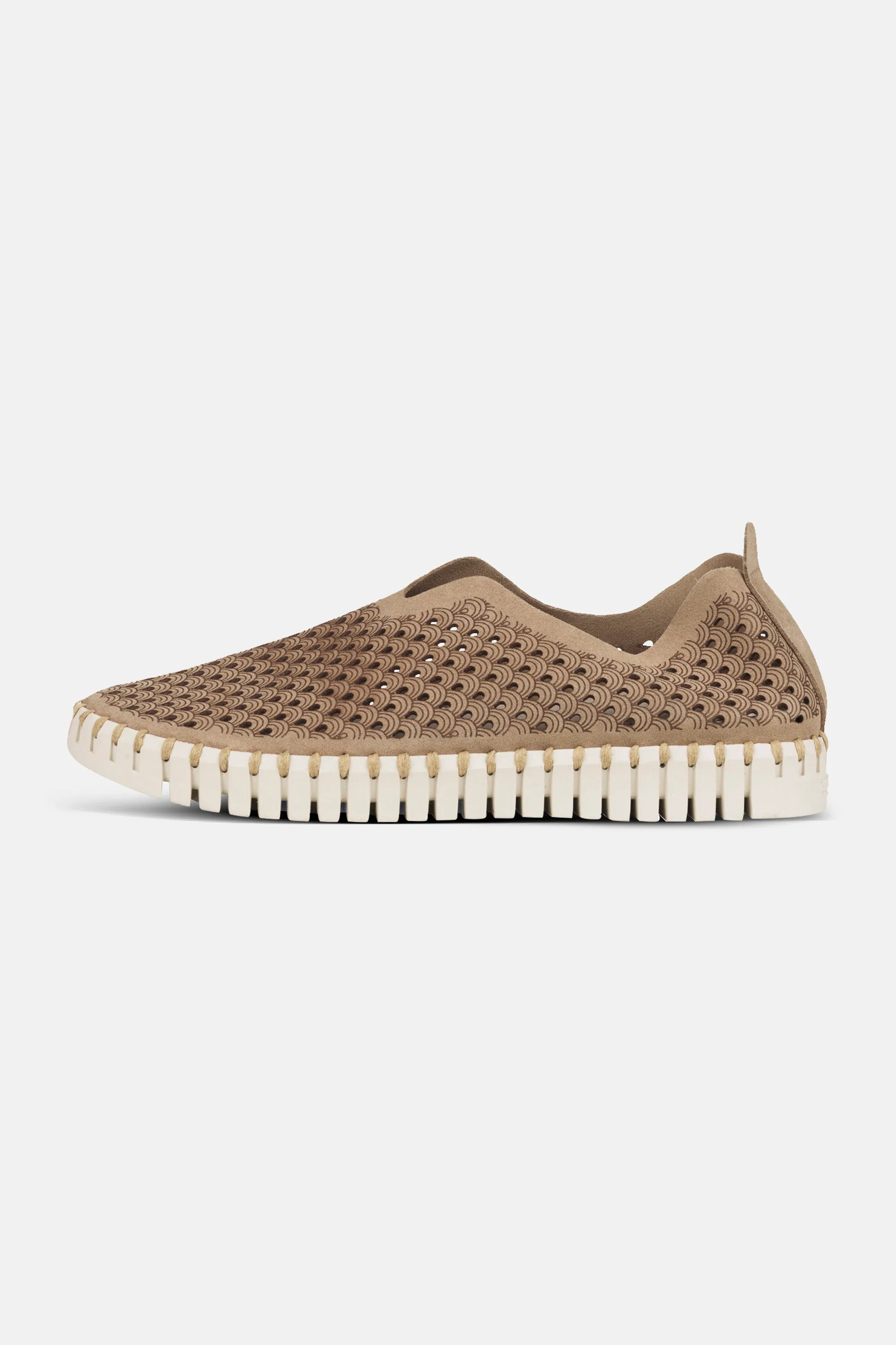 Tulip Schuhe - Latte