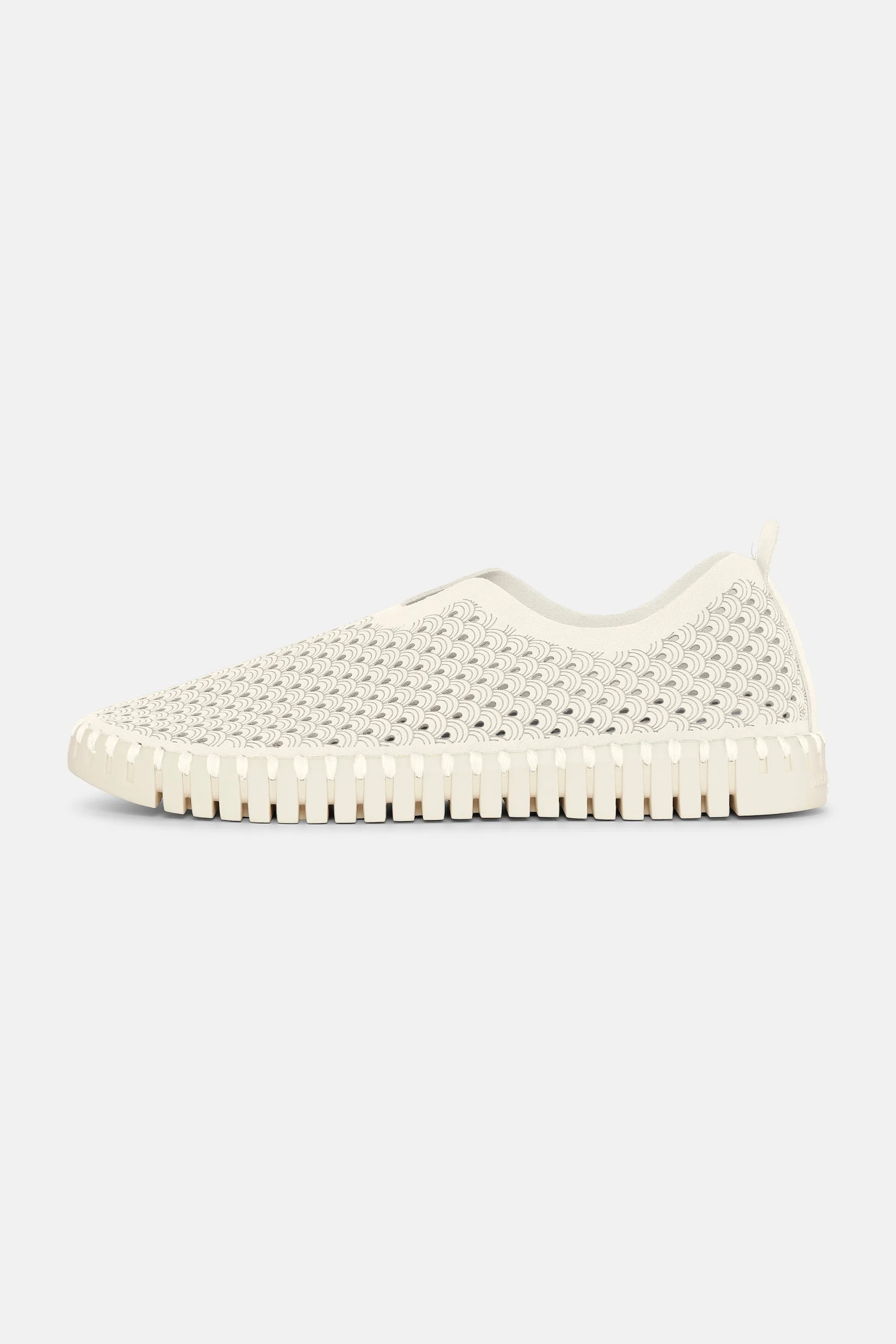 Tulip Schuhe - Milk Creme