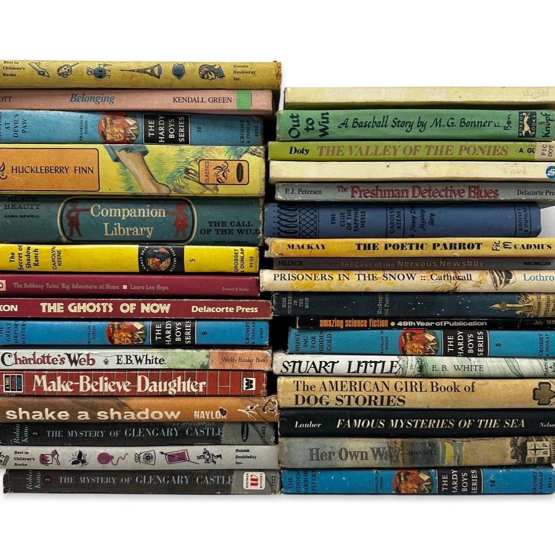 Vintage kids chapter books - Hardcover